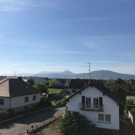 Appartement Chaleureux Et Lumineux Avec Vue ! Au Centre Alsace Sélestat Zewnętrze zdjęcie